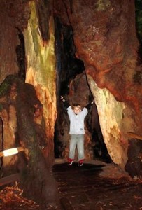 Little J Levitating